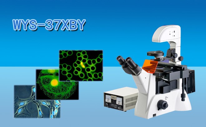 细胞研究用的生物显微镜分类和工作原理