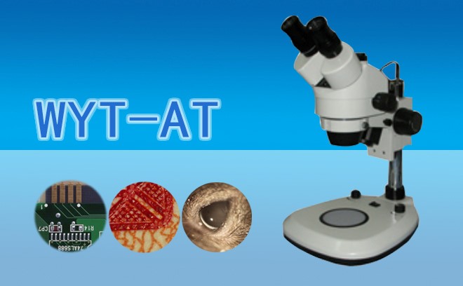 什么样的体视显微镜适合观察花粉？从光学性能到操作便利性的全面解析